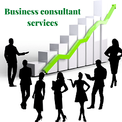 Consultant help to grow your business